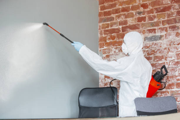 Best Crawl Space Mold Remediation  in Gleason, TN