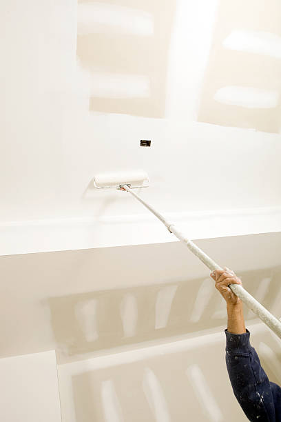 Mold Documentation for Insurance Claims in Gleason, TN